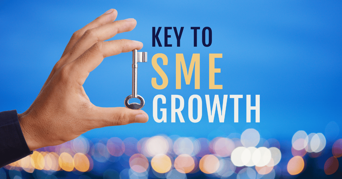 SMEs and Innovation Catalysts for Economic Growth in Pakistan