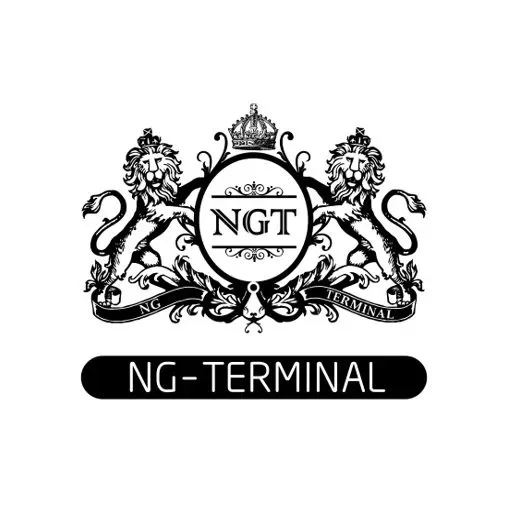 Ng Terminal